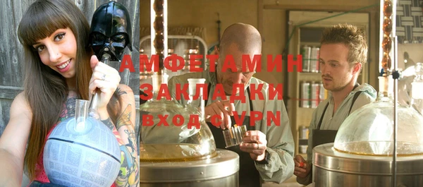 молекула духа Белокуриха