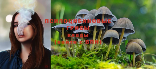 MDMA Premium VHQ Белоозёрский