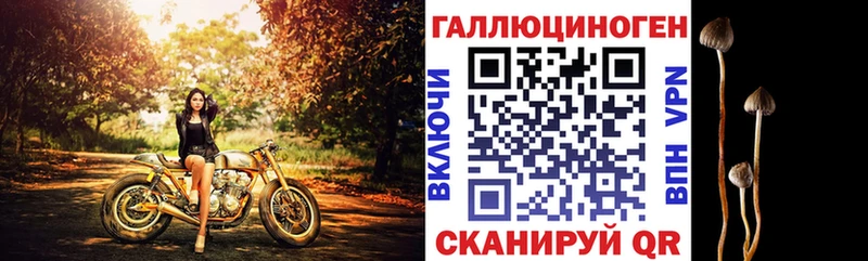 Псилоцибиновые грибы мухоморы  где продают   Вятские Поляны 