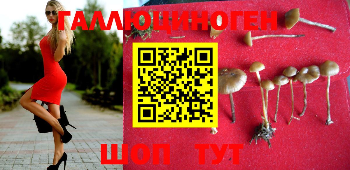 Псилоцибиновые грибы мицелий  Псилоцибиновые грибы мухоморы  Вятские Поляны  Вход с VPN 