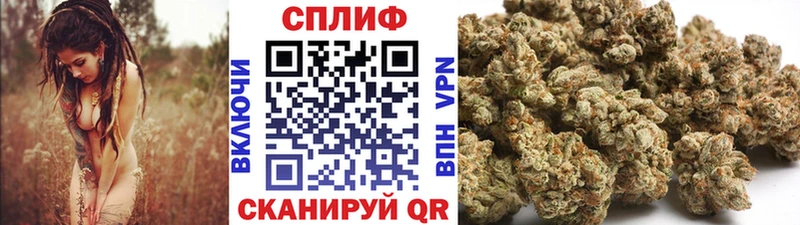 хочу   Вятские Поляны  Канабис Bruce Banner 